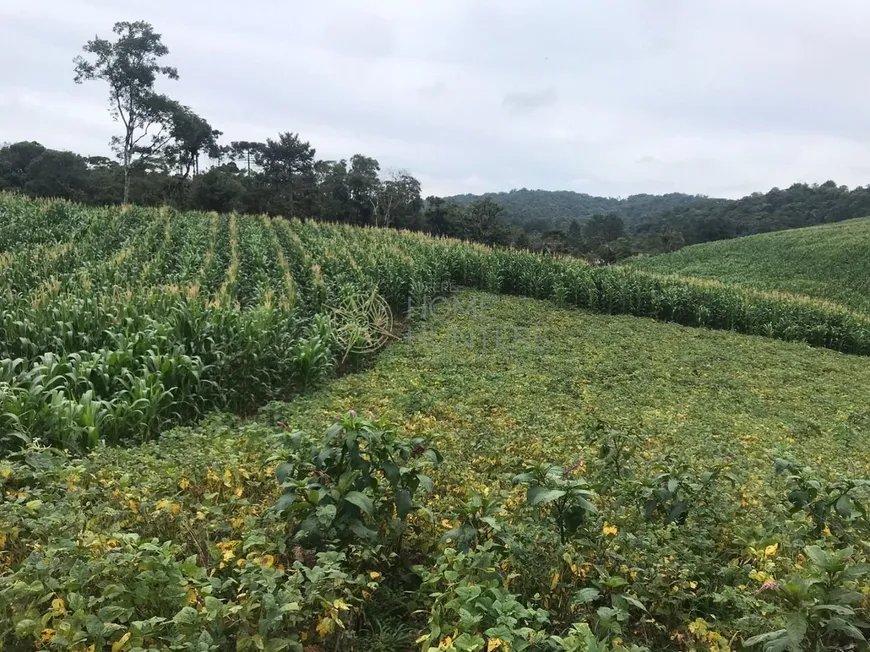 Foto 1 de Imóvel Comercial à venda, 100000m² em Serra Alta, São Bento do Sul