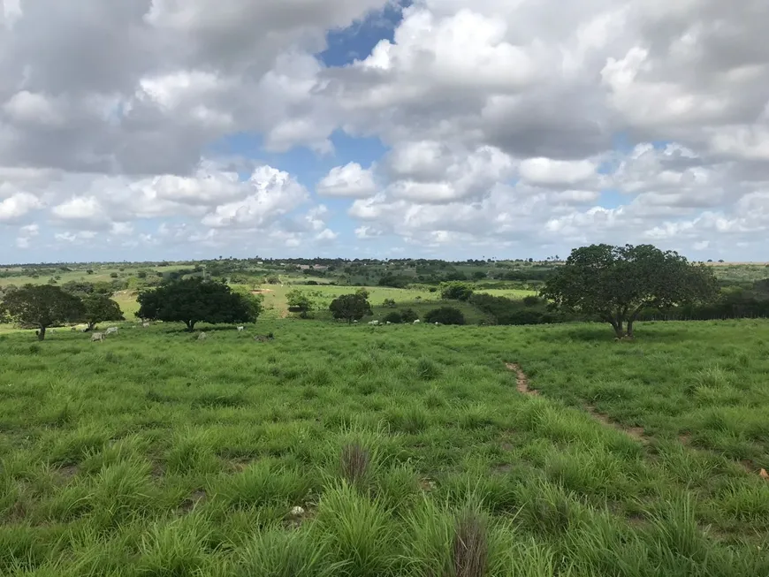 Foto 1 de Chácara com 3 Quartos à venda, 200m² em , Monte Alegre