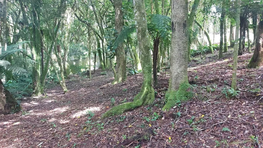 Foto 1 de Fazenda/Sítio com 2 Quartos à venda, 100m² em Recreio da Serra, Piraquara