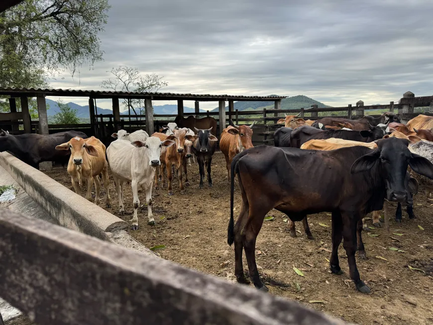 Foto 1 de Fazenda/Sítio com 2 Quartos à venda, 92000m² em Picos, Itaboraí