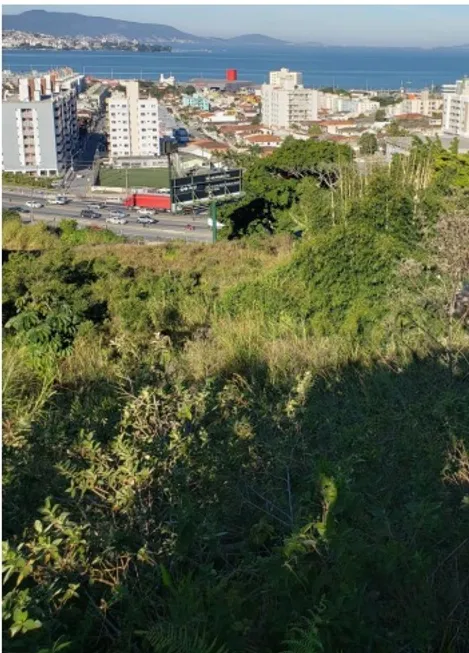 Foto 1 de Lote/Terreno à venda, 14708m² em Picadas do Sul, São José