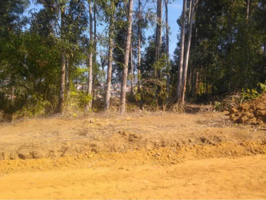 Foto 1 de Lote/Terreno à venda, 200m² em Cidade Continental, Serra