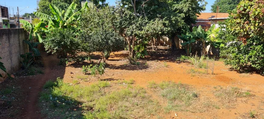 Foto 1 de Lote/Terreno à venda, 330m² em Jardim Novo II, Mogi Guaçu