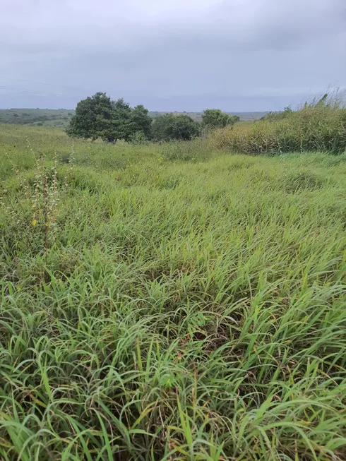 Foto 1 de Fazenda/Sítio com 5 Quartos à venda, 40000m² em Monte Alegre, Monte Alegre