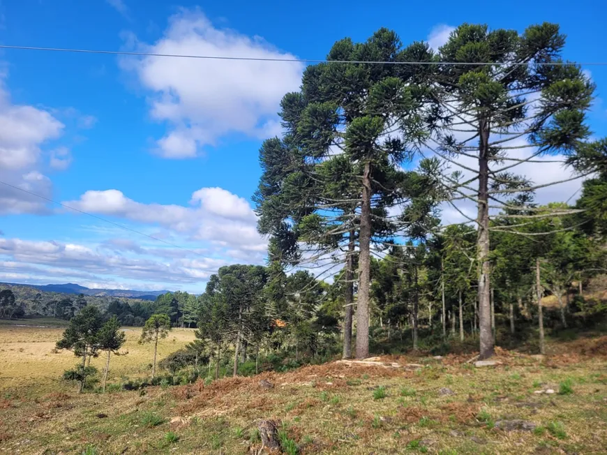 Foto 1 de Fazenda/Sítio à venda, 20000m² em , Urubici