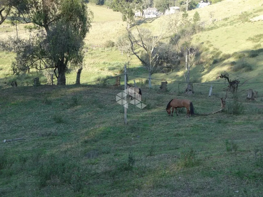 Foto 1 de Fazenda/Sítio com 1 Quarto à venda, 100000m² em Desvio Machado, Carlos Barbosa