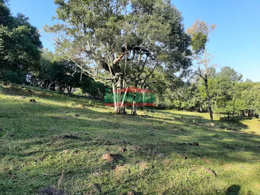 Foto 1 de Lote/Terreno à venda, 100000m² em Centro, São Francisco de Paula