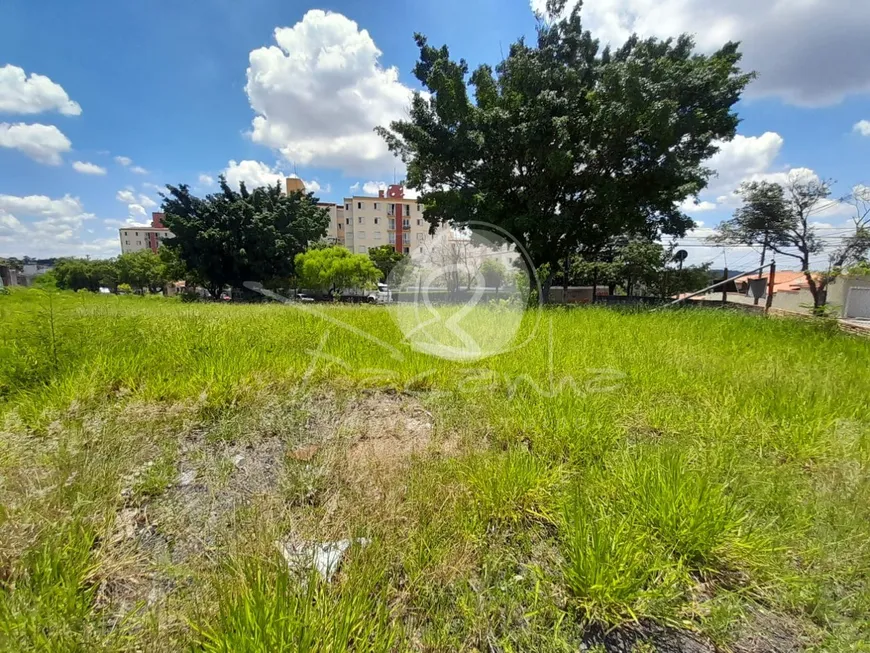 Foto 1 de Lote/Terreno à venda, 3200m² em Jardim dos Oliveiras, Campinas