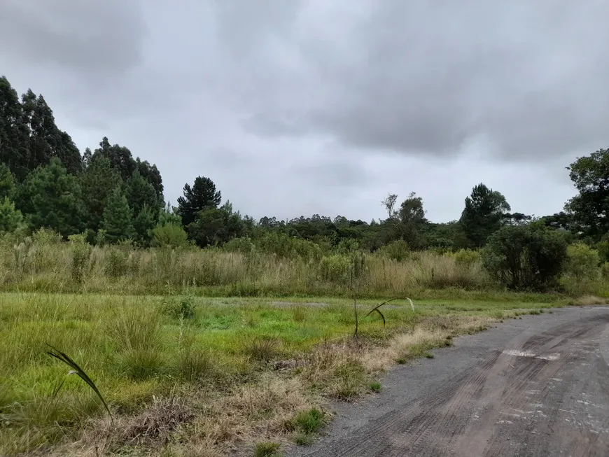 Foto 1 de Fazenda/Sítio à venda, 56000m² em Centro, Campo do Tenente