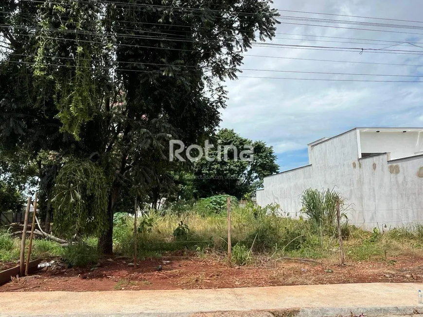 Foto 1 de Lote/Terreno à venda, 425m² em Cidade Jardim, Uberlândia