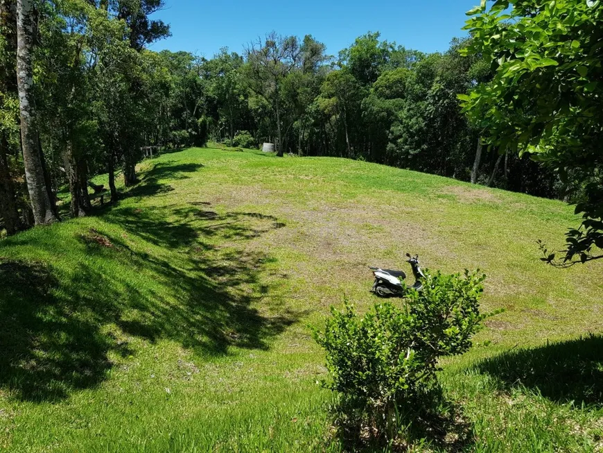 Foto 1 de Fazenda/Sítio com 1 Quarto à venda, 44314m² em , Campo Alegre