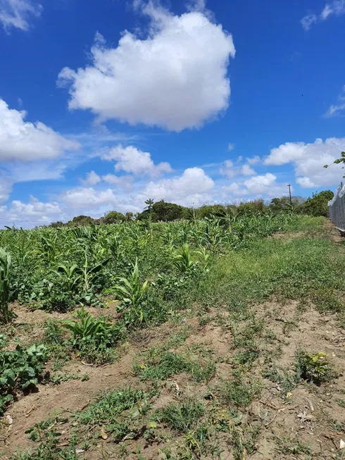 Foto 1 de Fazenda/Sítio com 4 Quartos à venda, 20000m² em Povoado Punau, Rio do Fogo