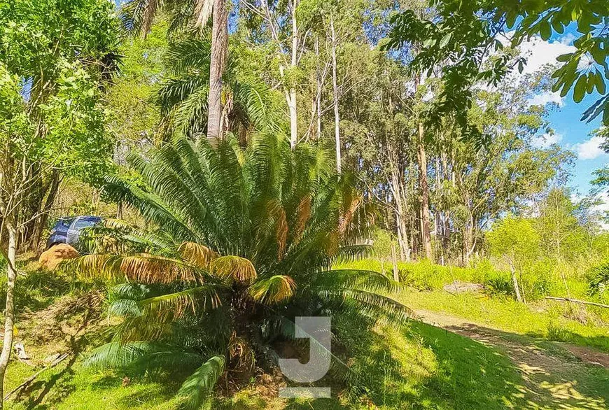 Foto 1 de Fazenda/Sítio com 2 Quartos à venda, 100m² em Notre Dame, Campinas