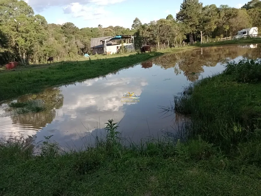 Foto 1 de Fazenda/Sítio com 1 Quarto à venda, 22290m² em Bugre, Balsa Nova