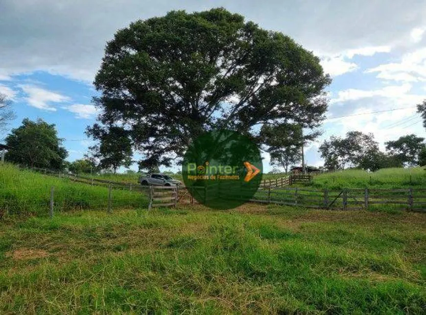 Foto 1 de Fazenda/Sítio à venda, 2178000m² em Zona Rural, Varjão