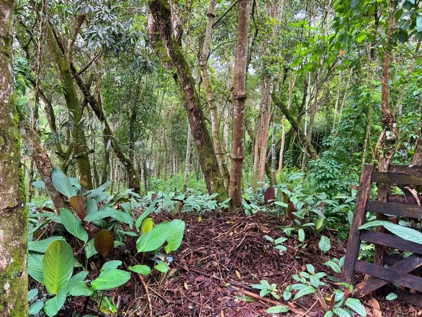 Foto 1 de Lote/Terreno à venda, 1570m² em Estancia Serrana, Nova Lima