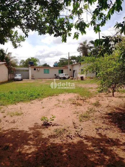 Foto 1 de Fazenda/Sítio com 2 Quartos à venda, 1000m² em Morada Nova, Uberlândia