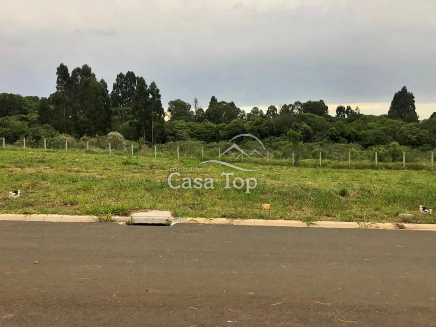 Foto 1 de Lote/Terreno à venda, 282m² em Contorno, Ponta Grossa