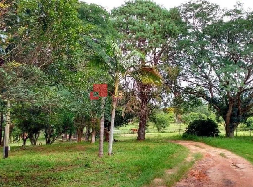 Foto 1 de Fazenda/Sítio com 6 Quartos à venda, 1202m² em Lageado, Porto Alegre