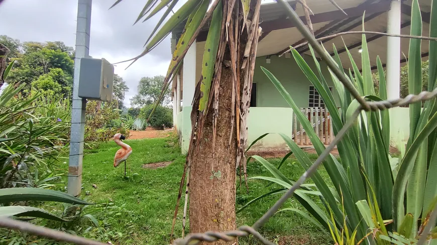 Foto 1 de Fazenda/Sítio com 2 Quartos à venda, 2000m² em , Caeté