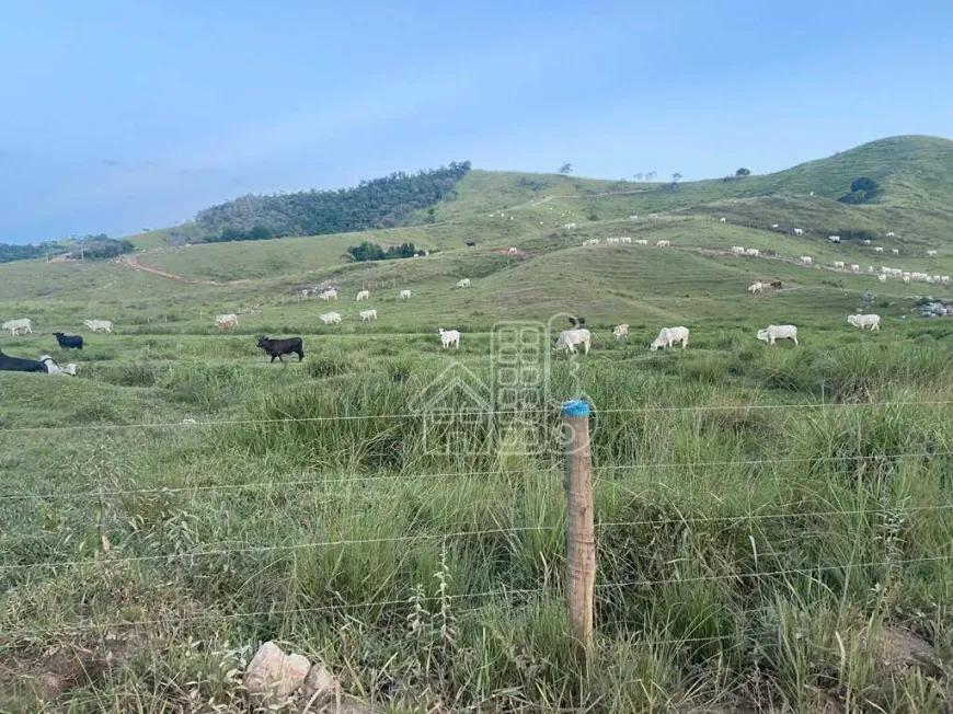 Foto 1 de Fazenda/Sítio com 3 Quartos à venda, 1000m² em Boa Esperança, Rio Bonito