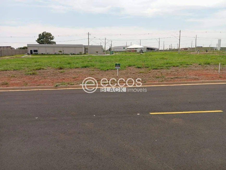 Foto 1 de Lote/Terreno à venda, 405m² em Paineiras, Araguari