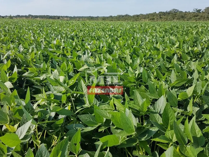 Foto 1 de Fazenda/Sítio à venda em Zona Rural, Canabrava do Norte