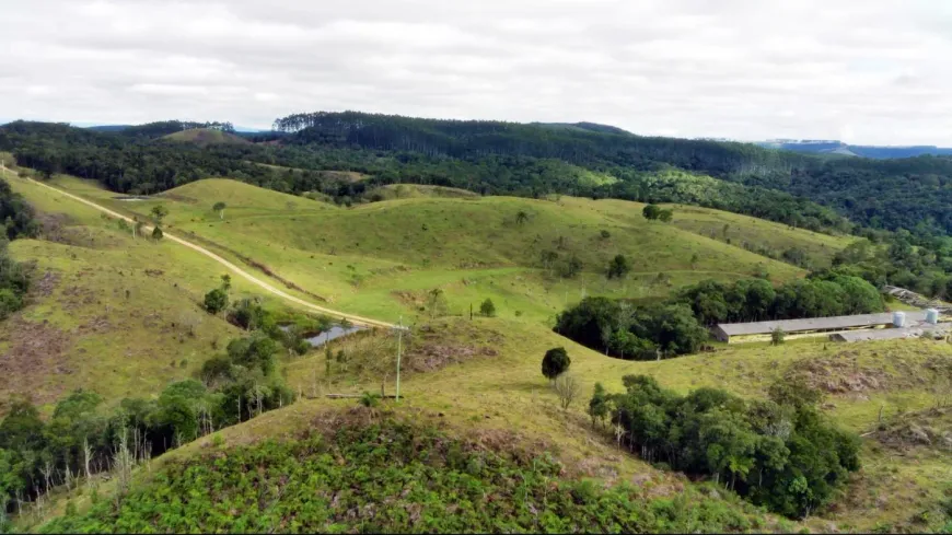 Foto 1 de Fazenda/Sítio com 2 Quartos à venda, 862000m² em , Presidente Nereu