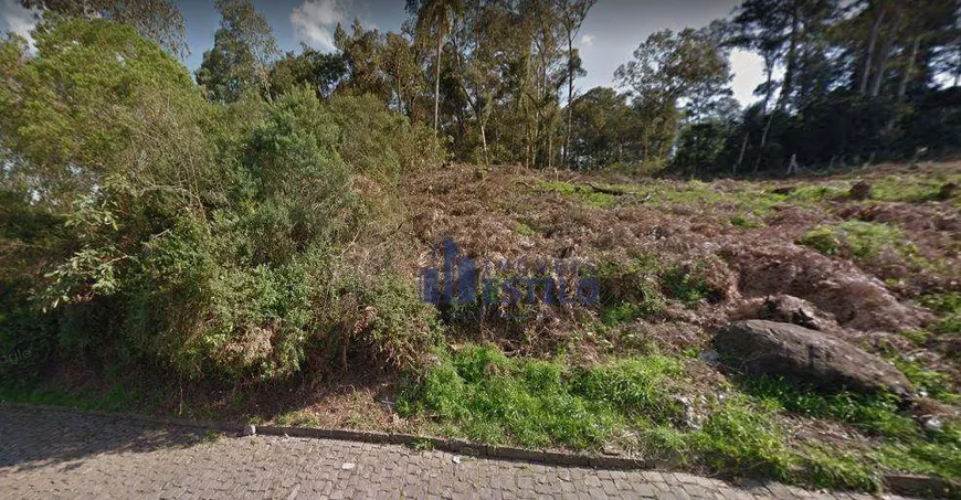 Foto 1 de Lote/Terreno à venda, 625m² em Desvio Rizzo, Caxias do Sul