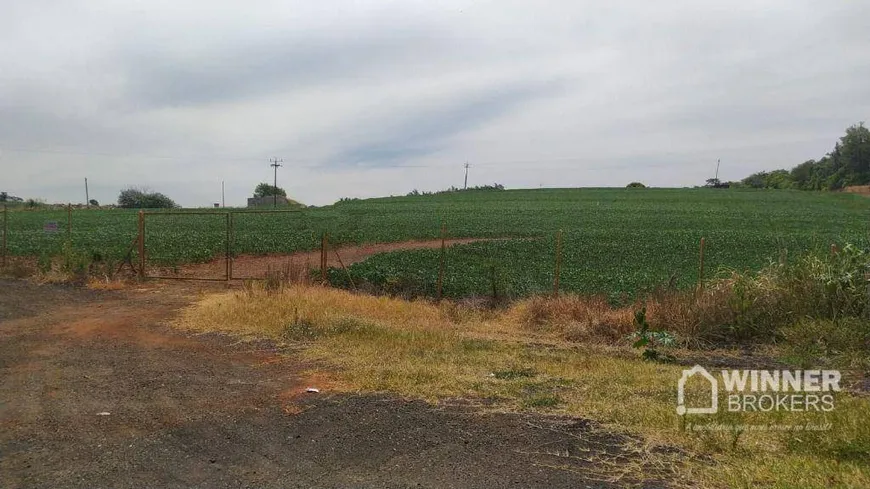 Foto 1 de Fazenda/Sítio à venda, 20014m² em Parque Industrial Bandeirantes, Maringá