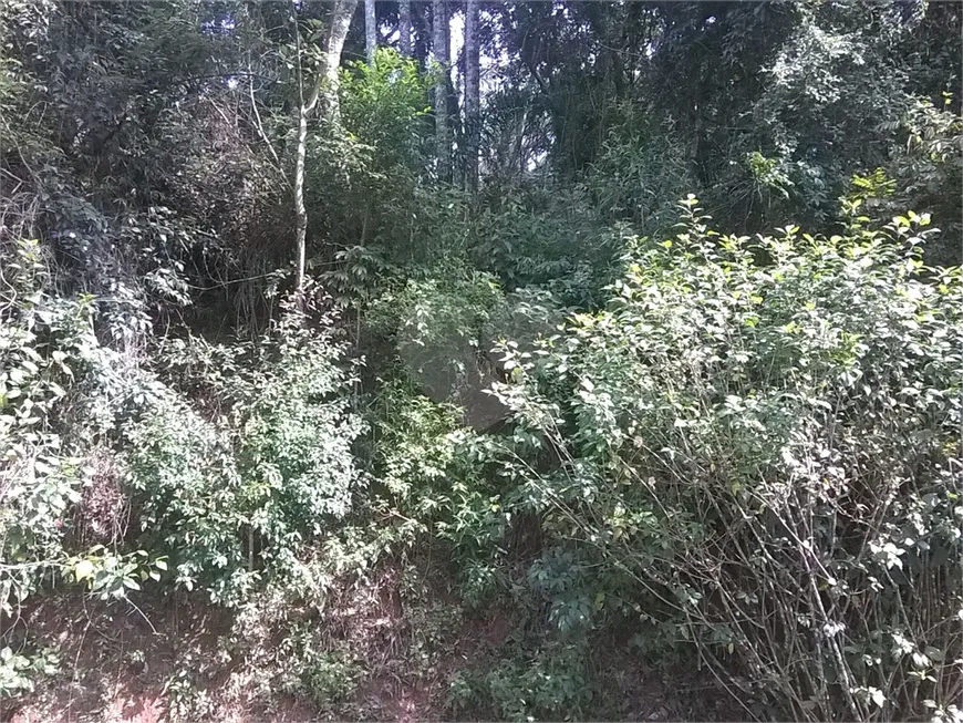 Foto 1 de Lote/Terreno à venda, 1327m² em Serra da Cantareira, Mairiporã