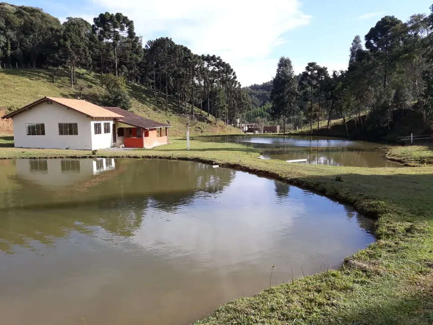 Foto 1 de Fazenda/Sítio com 5 Quartos à venda, 48400m² em Campinas, Campo Alegre