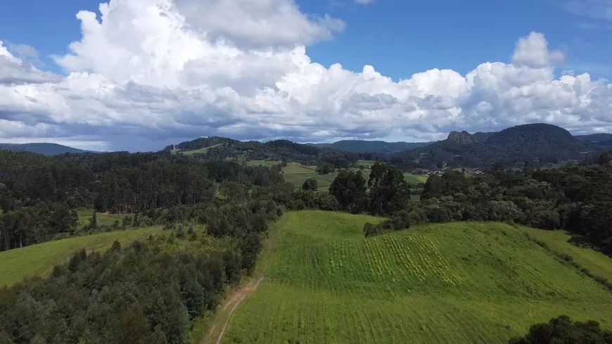 Foto 1 de Fazenda/Sítio à venda, 35000m² em Centro, Rio Rufino