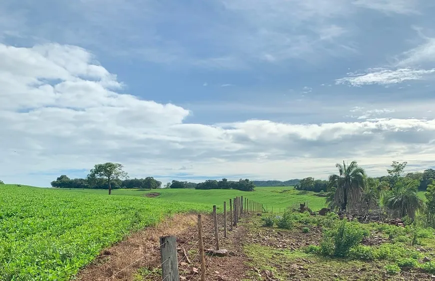 Foto 1 de Fazenda/Sítio à venda, 10m² em , Jandaia