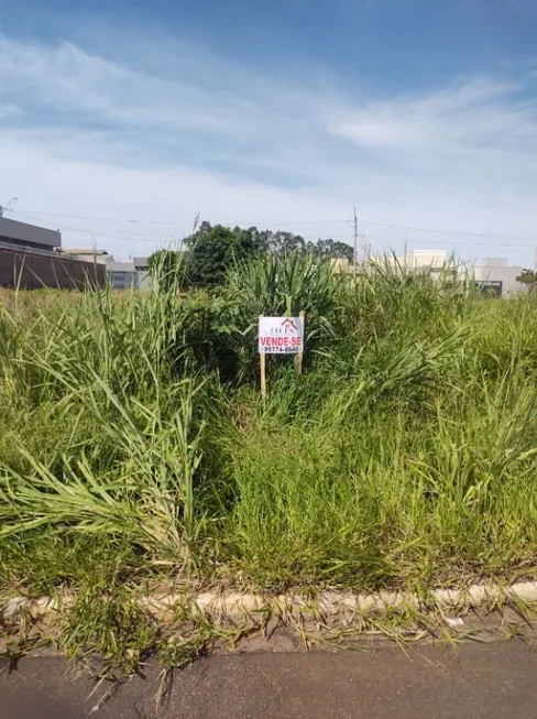 Foto 1 de Lote/Terreno à venda, 214m² em Parque Vila Nobre, São José do Rio Preto