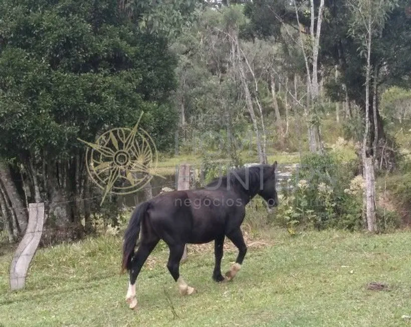 Foto 1 de Fazenda/Sítio com 3 Quartos à venda, 100m² em Centro, Campo Alegre