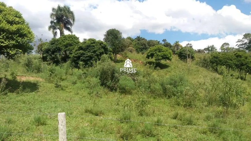 Foto 1 de Lote/Terreno à venda, 5000m² em Lamenha Pequena, Curitiba