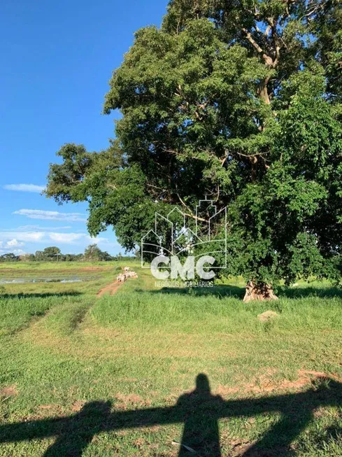 Foto 1 de Fazenda/Sítio à venda, 3290000m² em Centro, Poconé