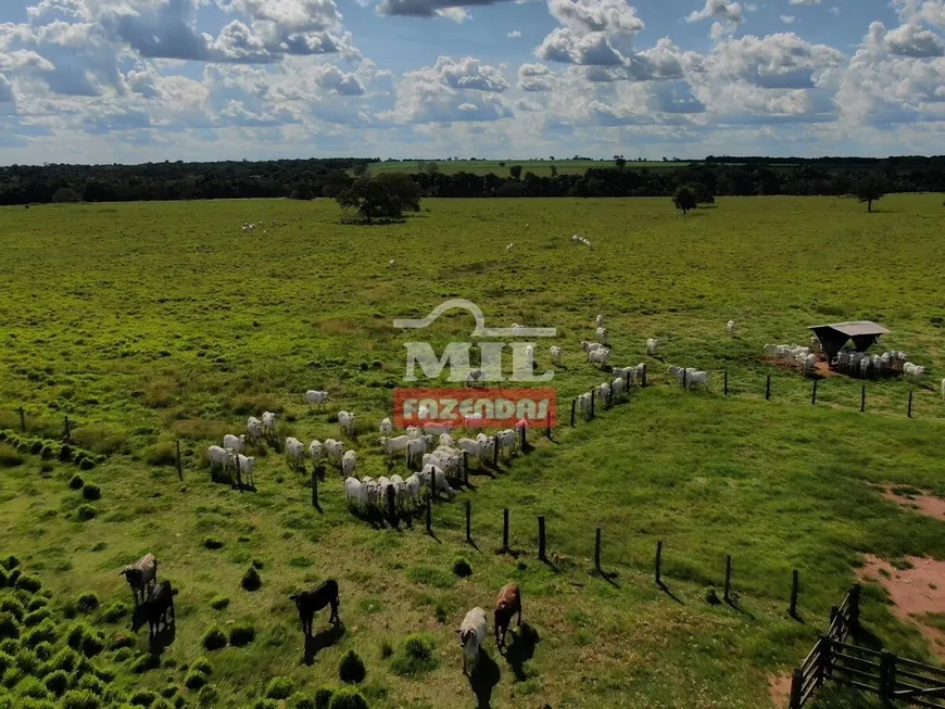 Foto 1 de Fazenda/Sítio à venda, 3538m² em Zona Rural, São Miguel do Araguaia