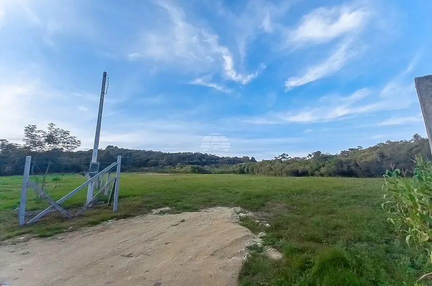 Foto 1 de Fazenda/Sítio à venda, 34570m² em Campo Largo da Roseira, São José dos Pinhais