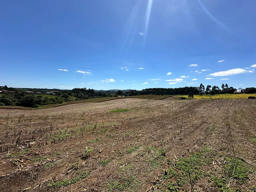 Foto 1 de Fazenda/Sítio à venda, 30000m² em Zona Rural, Campo Alegre