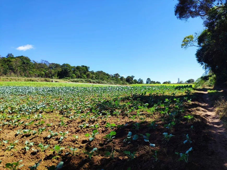 Foto 1 de Lote/Terreno à venda, 45737m² em Ibiuna, Ibiúna