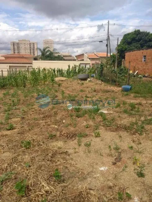 Foto 1 de Lote/Terreno à venda, 420m² em Parque dos Servidores, Paulínia