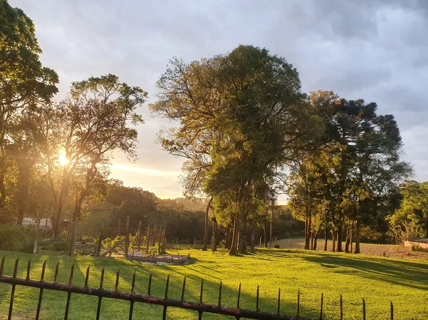 Foto 1 de Fazenda/Sítio com 4 Quartos à venda, 35000m² em Centro, Mandirituba