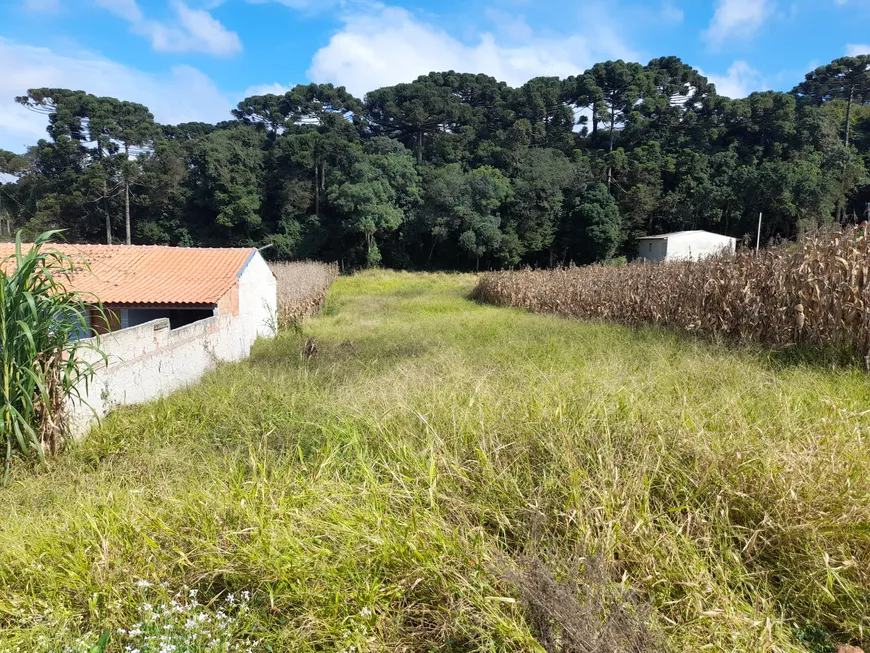 Foto 1 de Fazenda/Sítio com 1 Quarto à venda, 2500m² em Campina do Taquaral, São José dos Pinhais