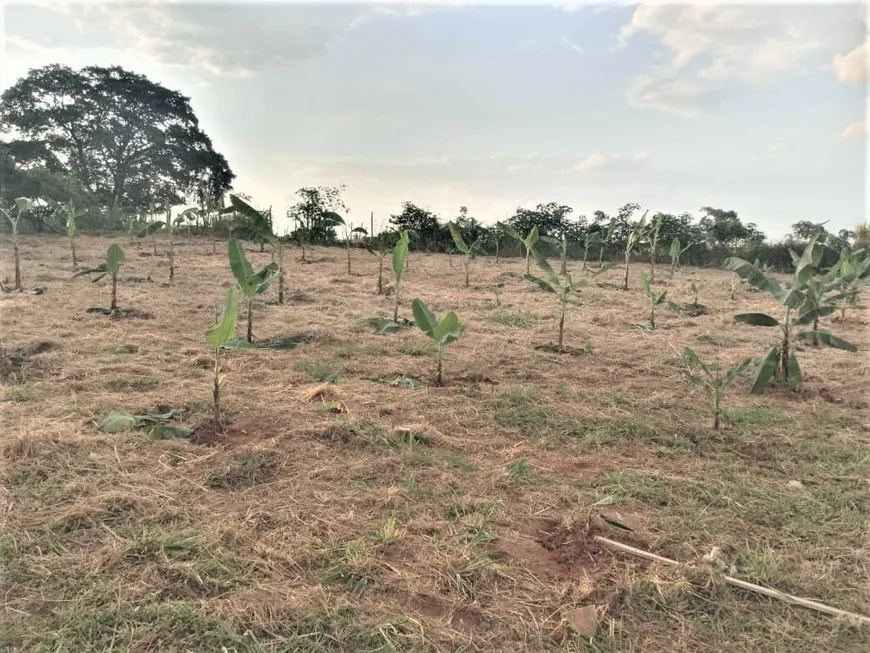 Foto 1 de Lote/Terreno à venda, 22000m² em Reforma Agraria, Valinhos