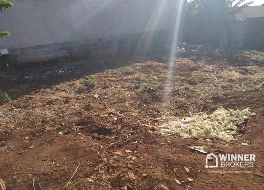 Foto 1 de Lote/Terreno à venda, 300m² em Jardim Guairaca, Maringá