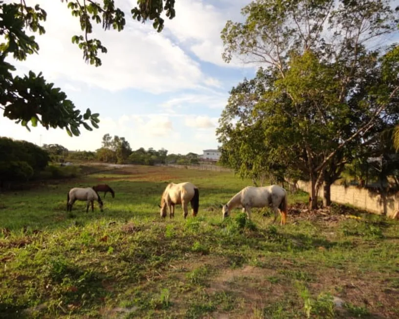 Foto 1 de Lote/Terreno à venda, 10000m² em Busca Vida Abrantes, Camaçari