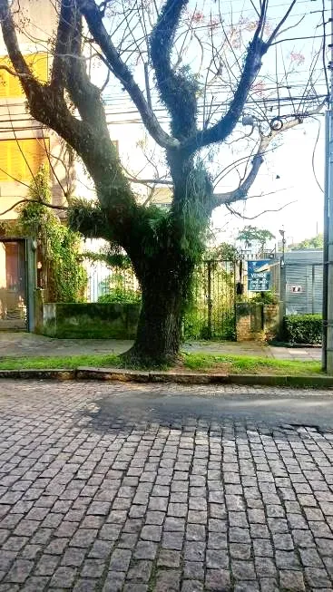 Foto 1 de Lote/Terreno à venda, 206m² em Higienópolis, Porto Alegre