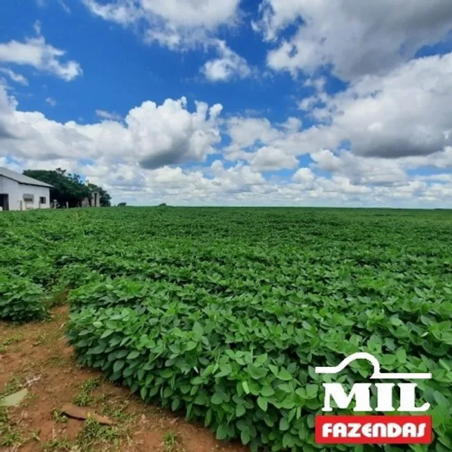 Foto 1 de Fazenda/Sítio à venda em Zona Rural, Araguainha